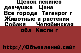 Щенок пекинес девчушка › Цена ­ 2 500 - Все города, Таганрог г. Животные и растения » Собаки   . Челябинская обл.,Касли г.